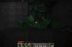 Minecraft Screenshot 5