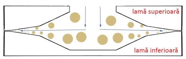 cutite plate in rasnita de cafea