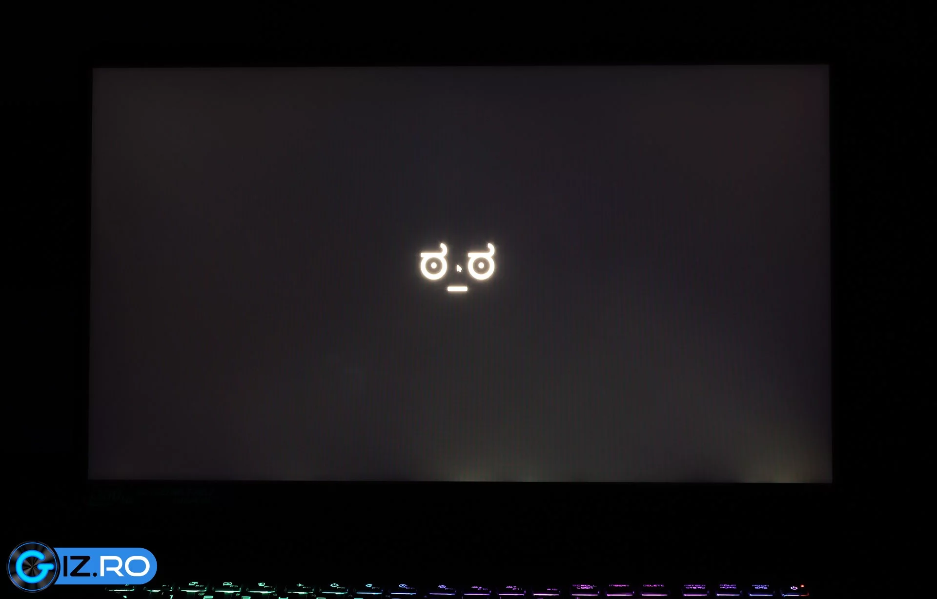 msi-ge76-raider-screen-bleeding