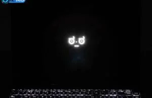 asus zenbook 14x keyboard bleed