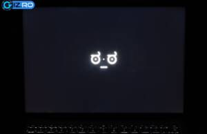 huawei matebook 14s screen bleed